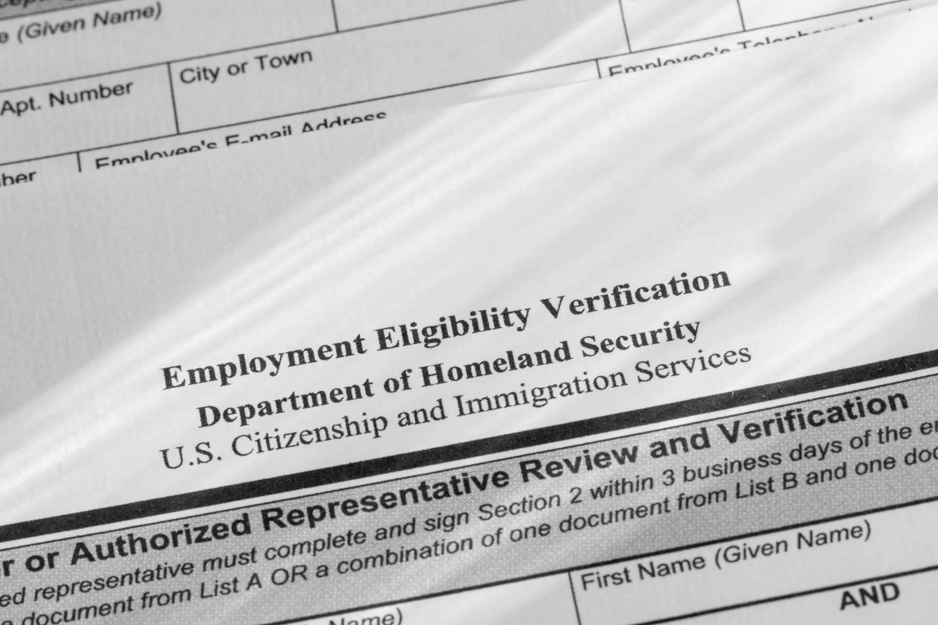 Employment eligibility verification form